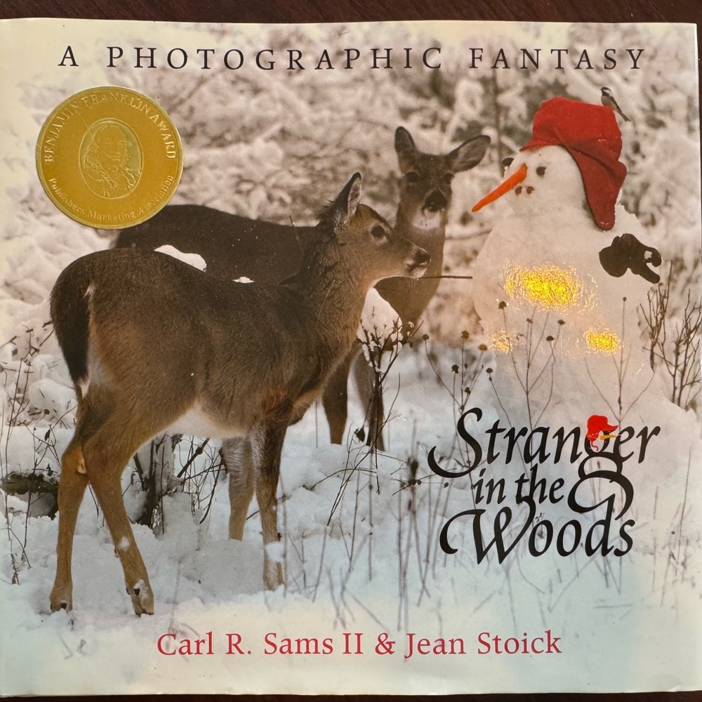 Stranger in the Woods book